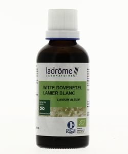 Lamier blanc (Ortie blanche) - extrait de plante fraîche